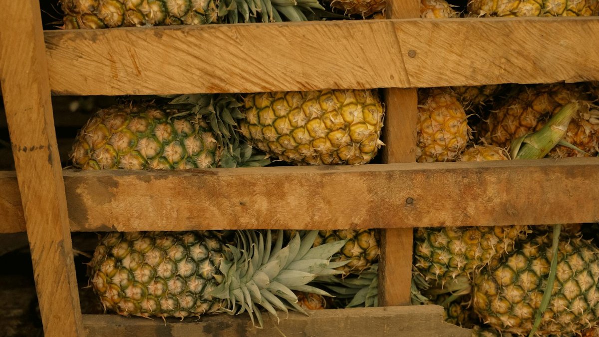 twisting pineapple crown