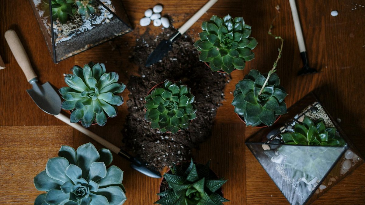 wabi-sabi garden decor