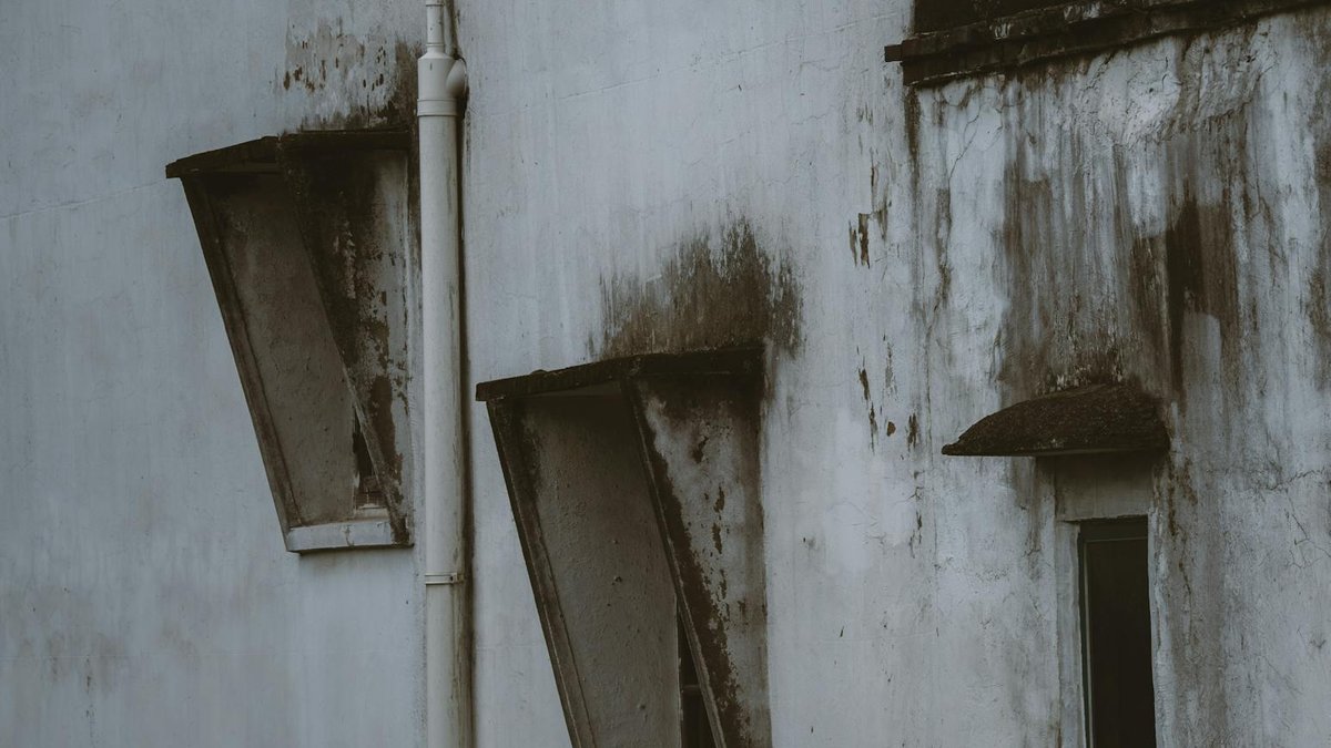 mildew treatment