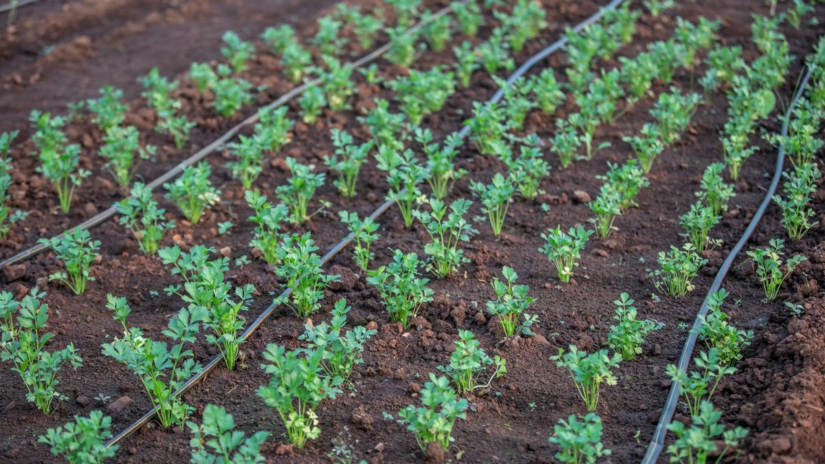drip irrigation kit