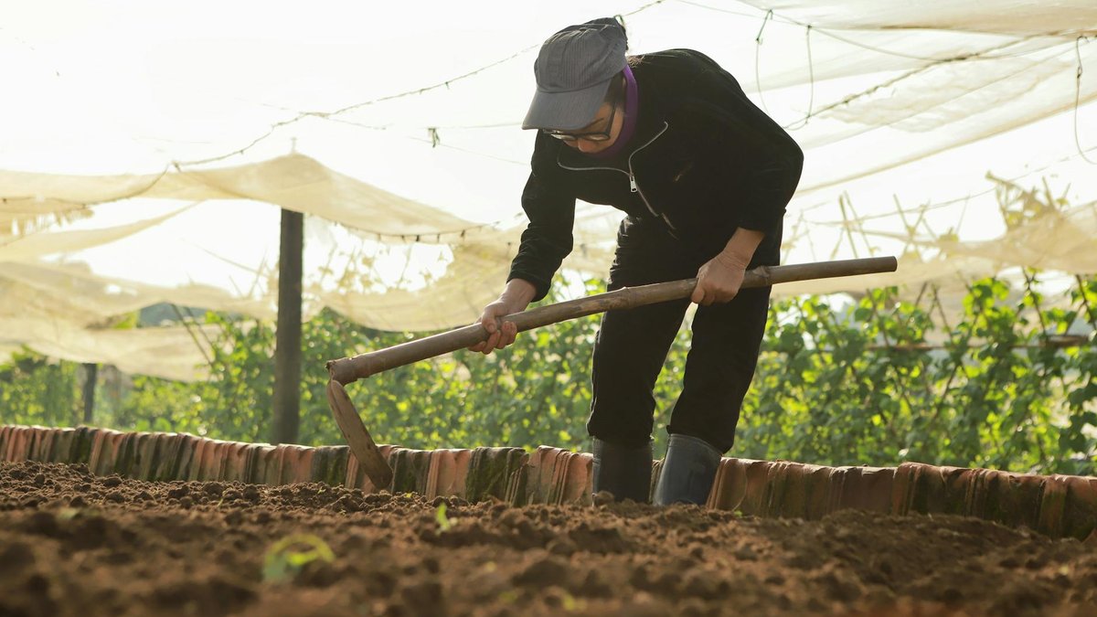 enrich garden soil