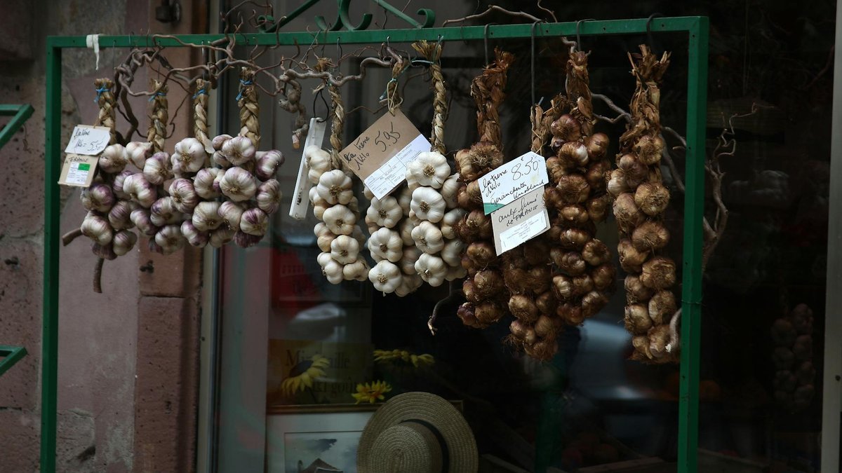 garlic varieties