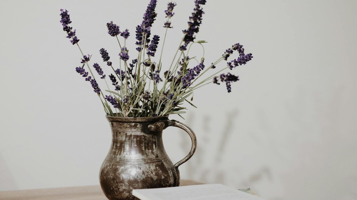 lavender pot