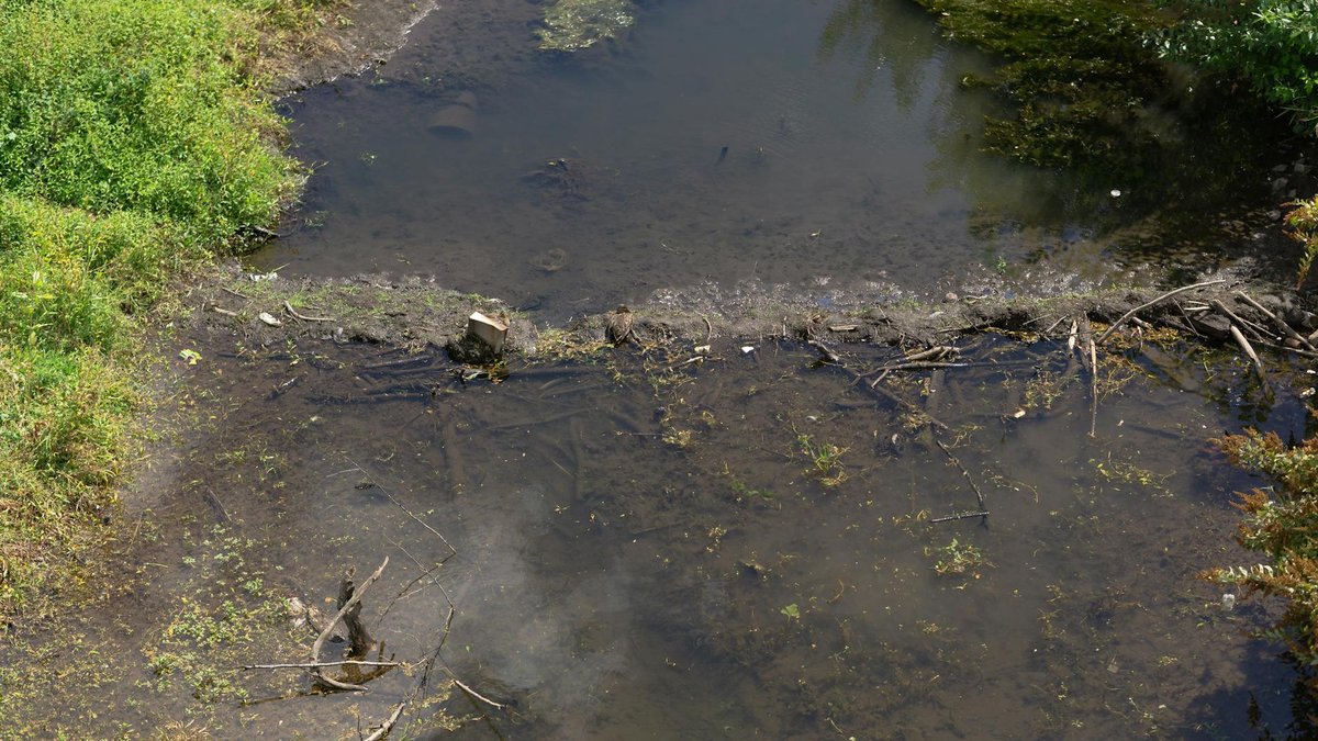 stagnant water removal