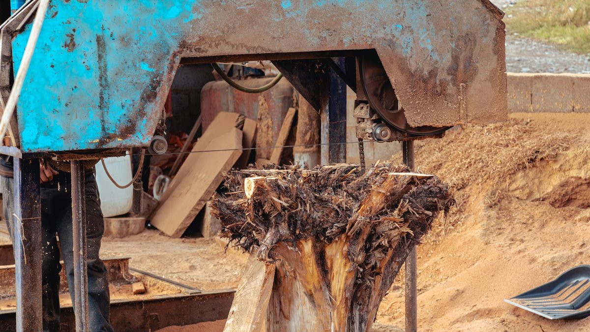 root removal tool
