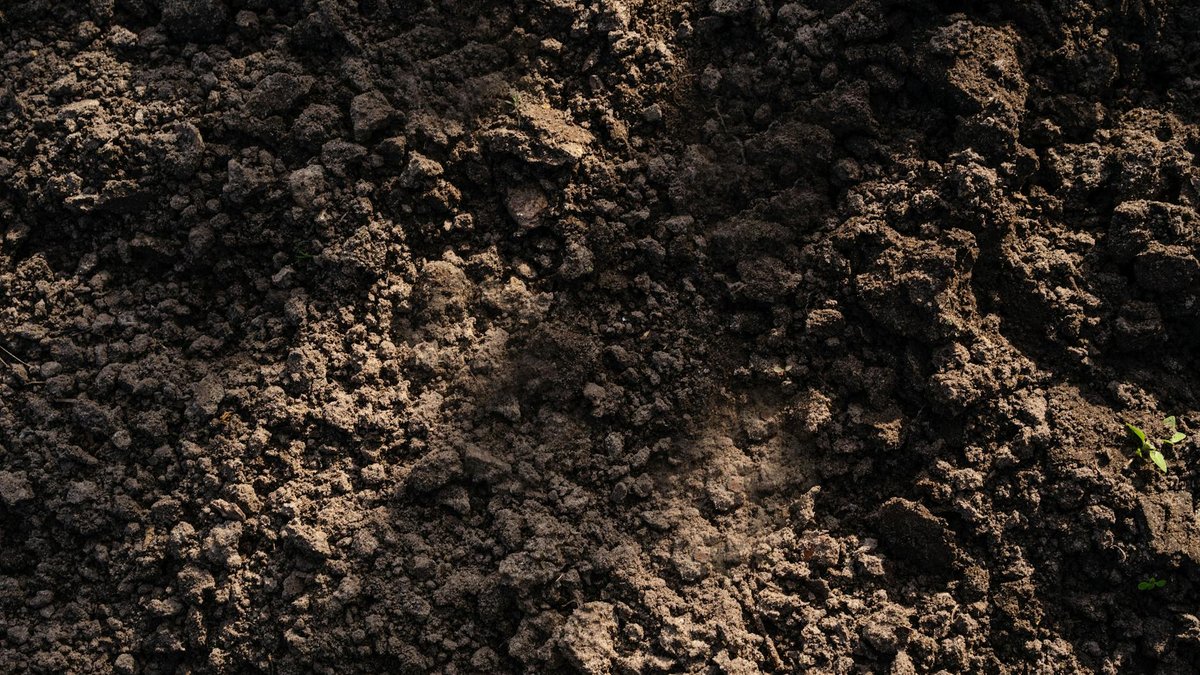 fresh soil