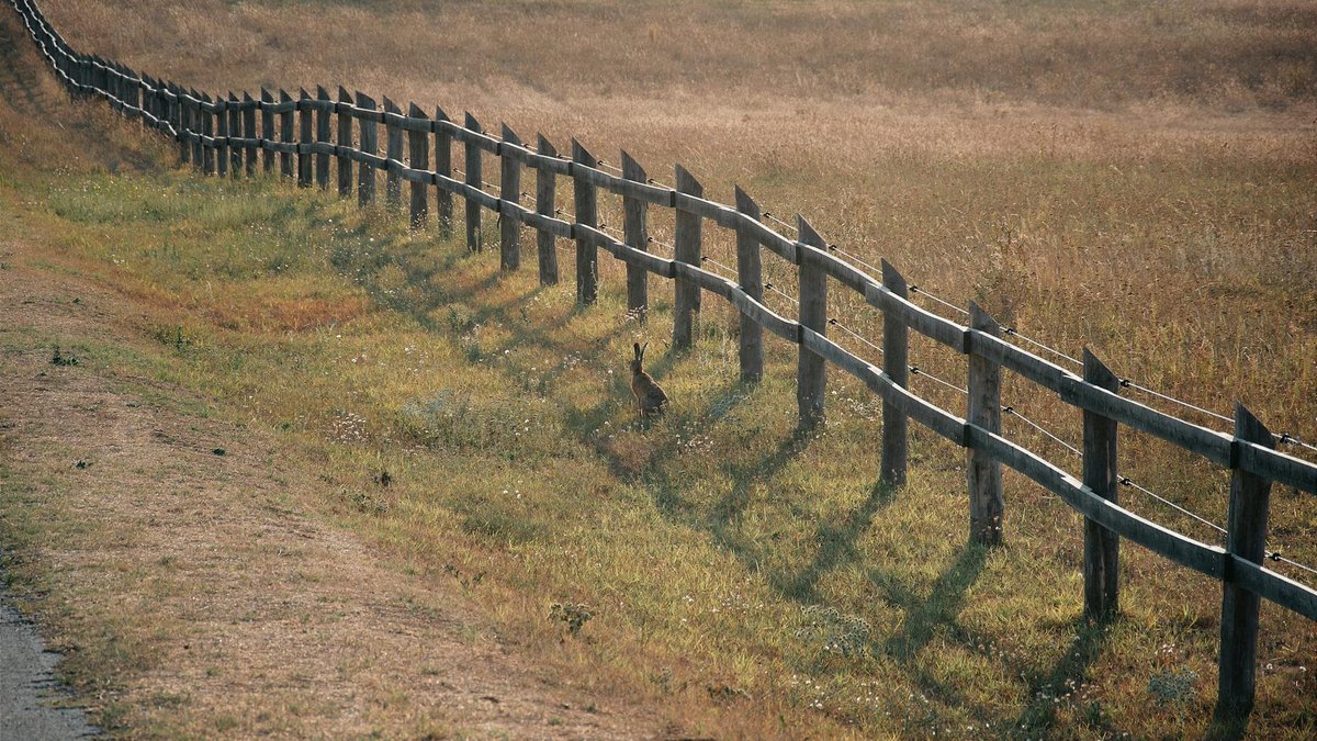 rabbit fence