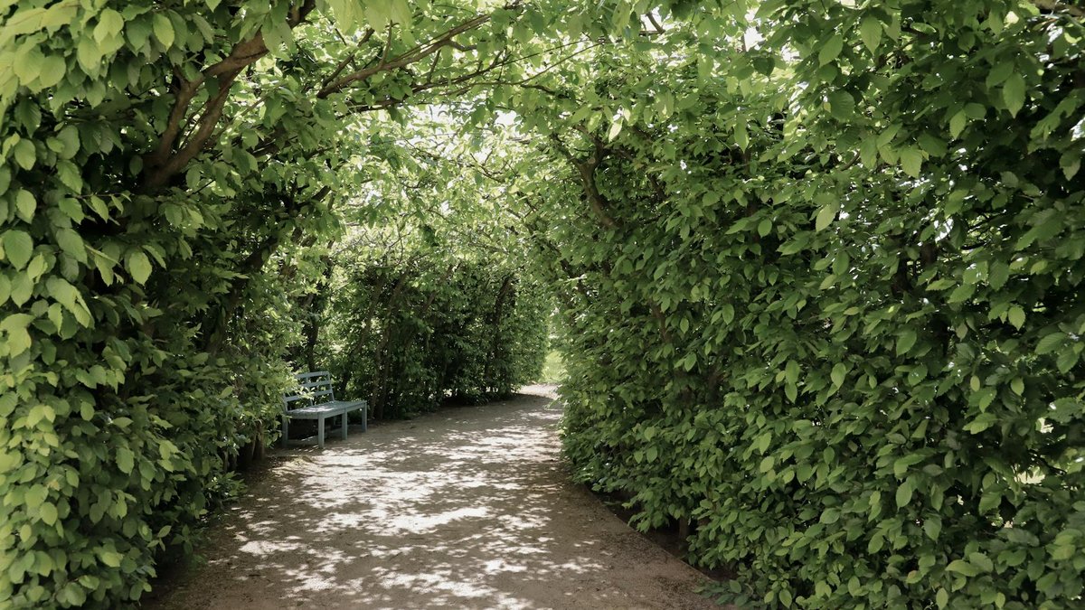 hedge shade