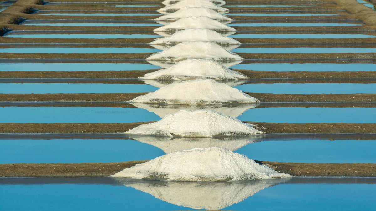 salt barrier garden