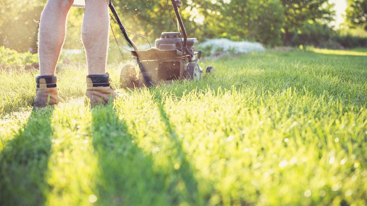 short mowed lawn