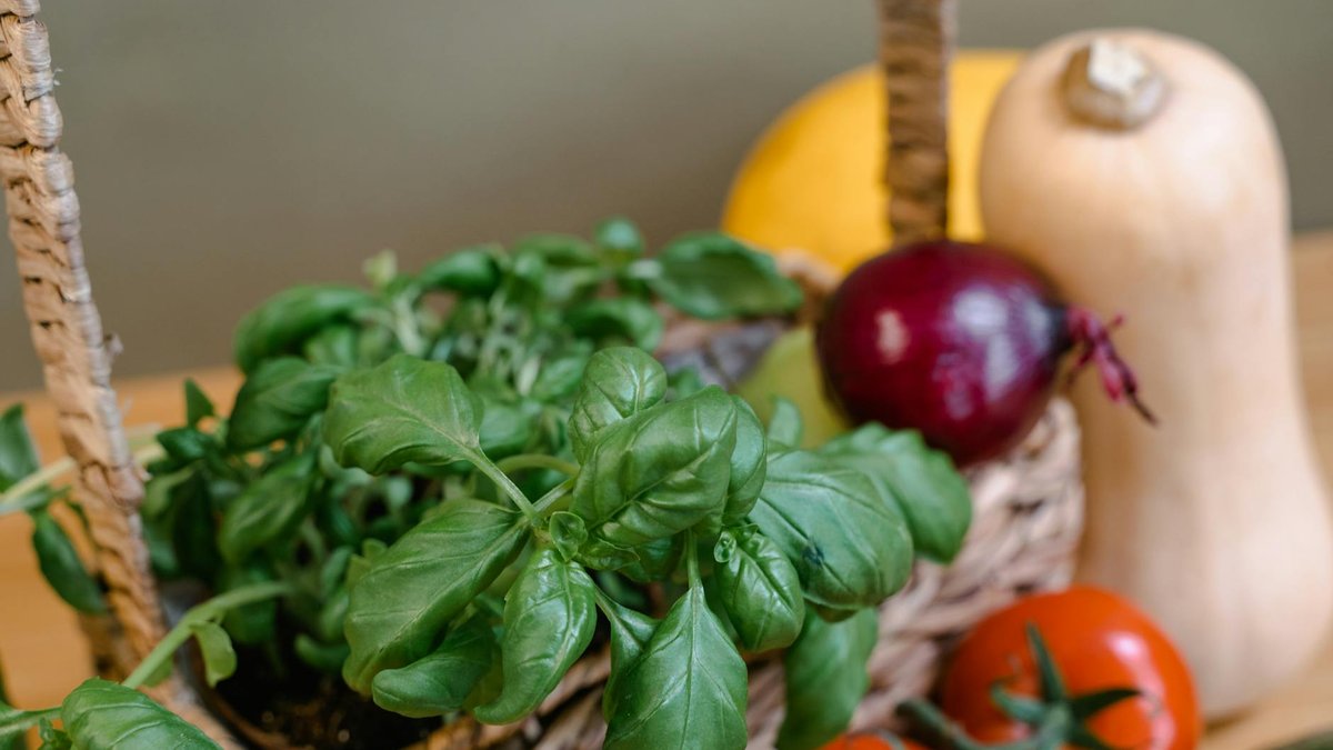 basil and tomatoes