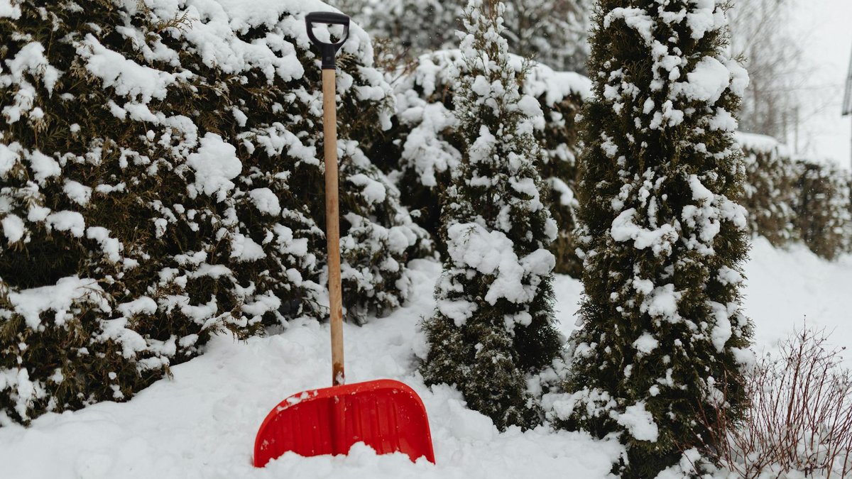 garden shovel