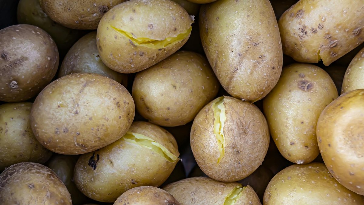 cold sweetening potatoes