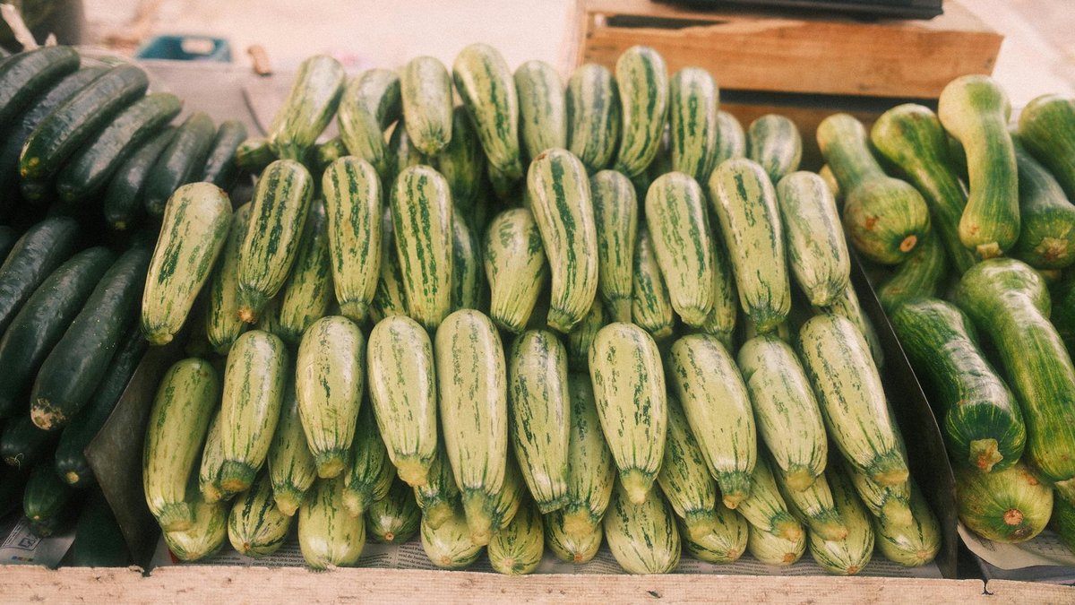 cucumber variety serre