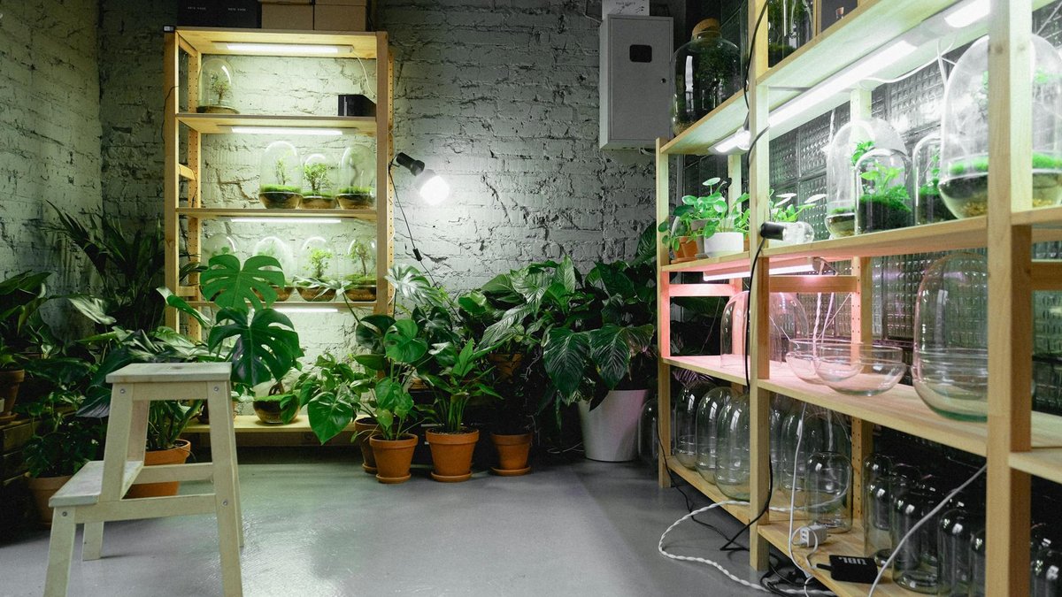 grow light setup