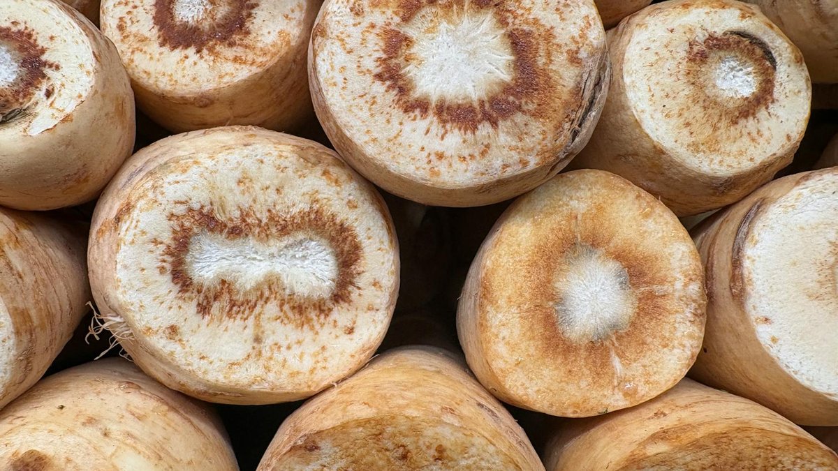parsnip pot