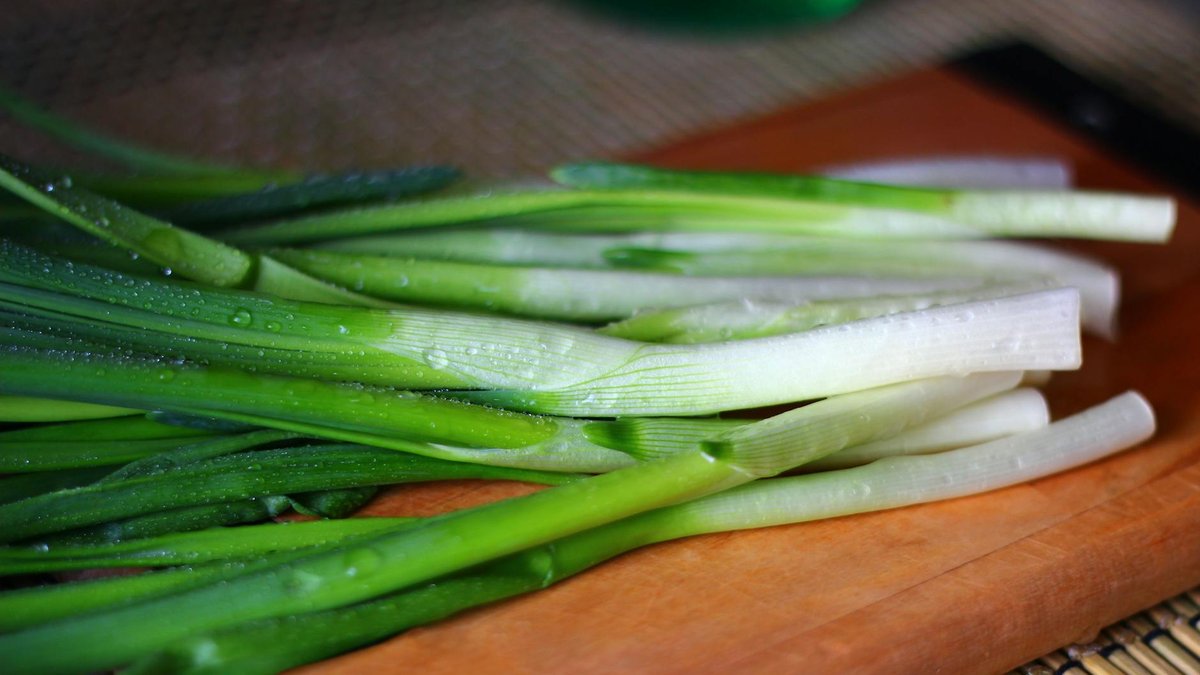 regrowing green onions