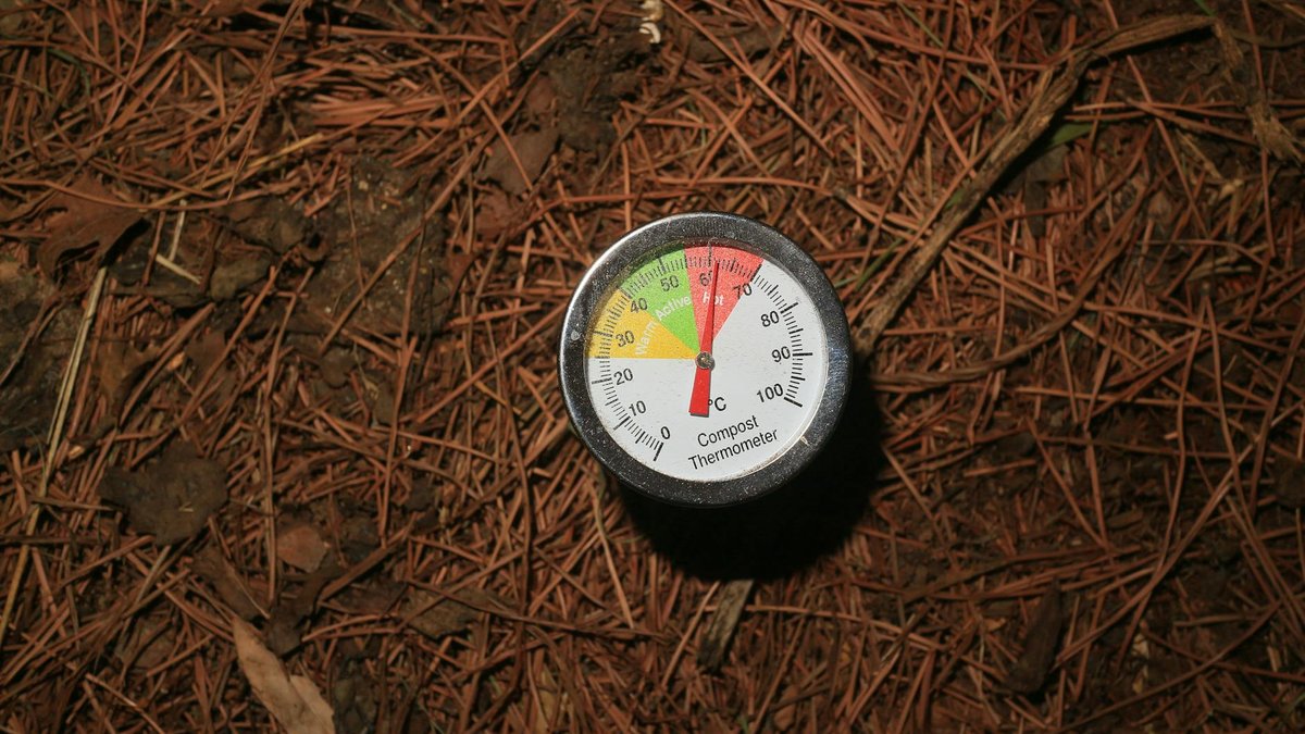 compost pile