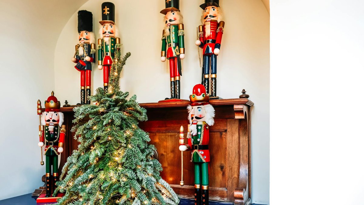 indoor tree collection