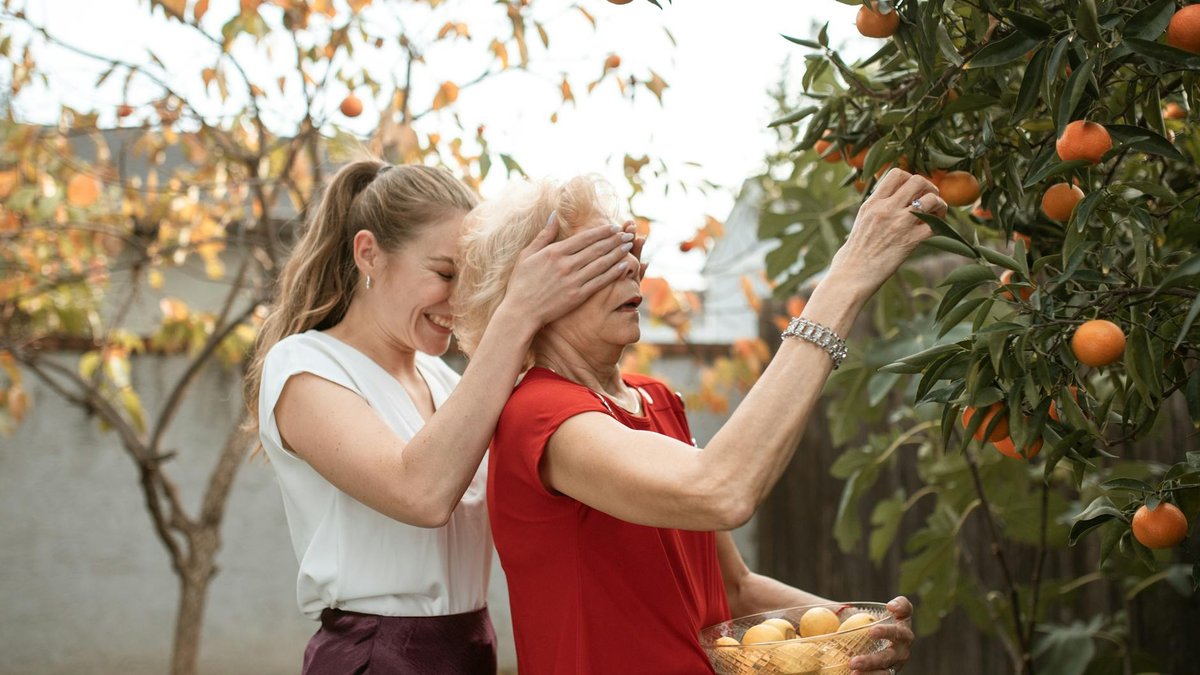 cover fruit tree