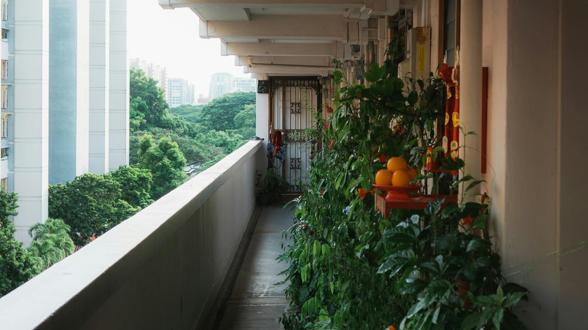 balcony fruit garden