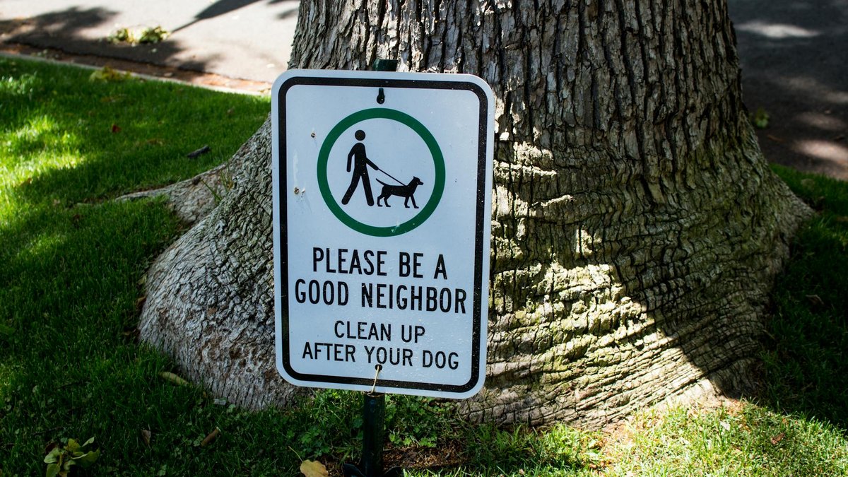 neighbor tree dispute