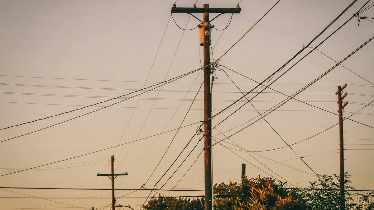 tree under power lines