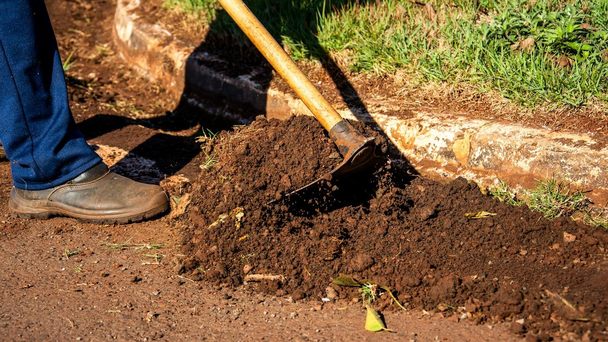 soil preparation garden