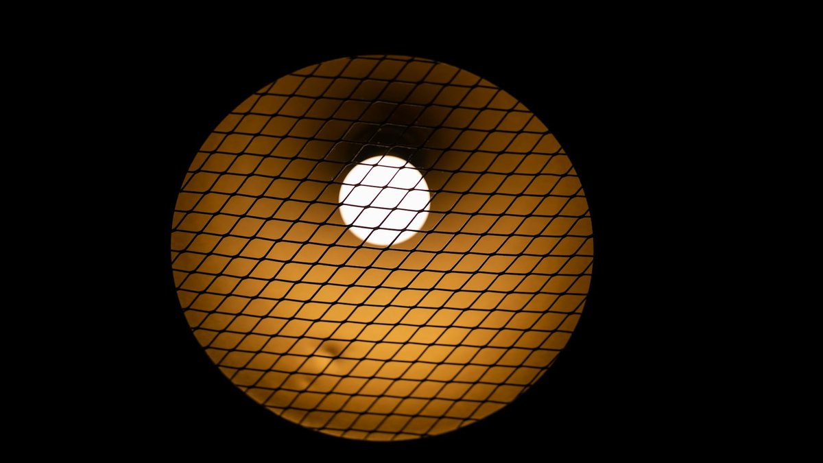 bulb cage mesh