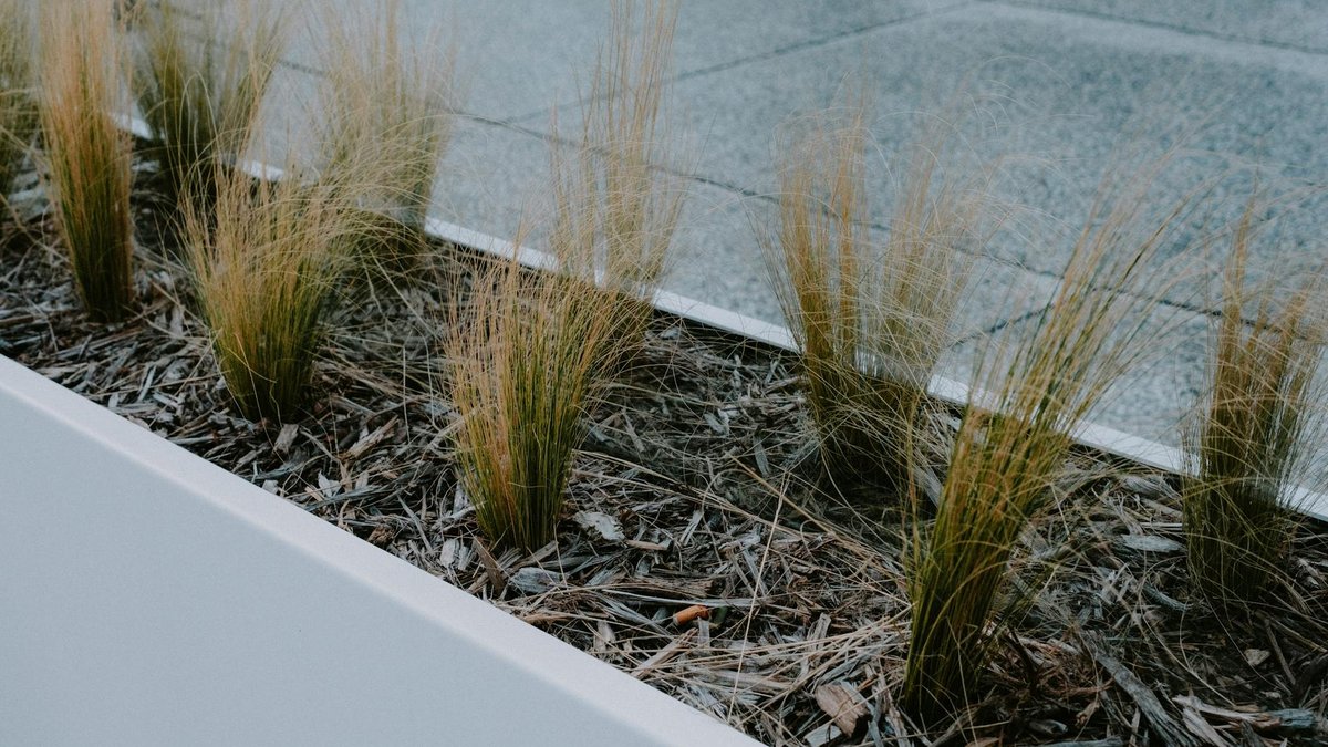 modern garden bed