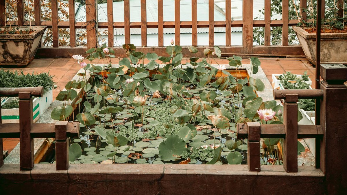 balcony pond