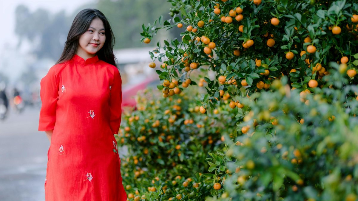 kumquat tree plant
