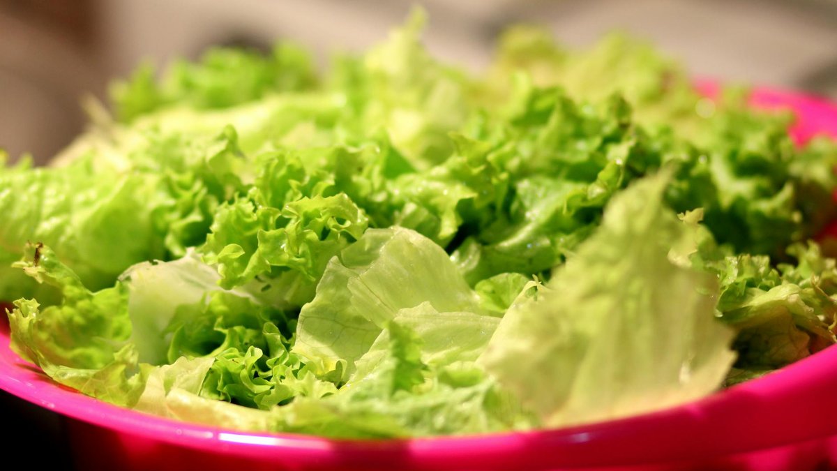 lettuce spring