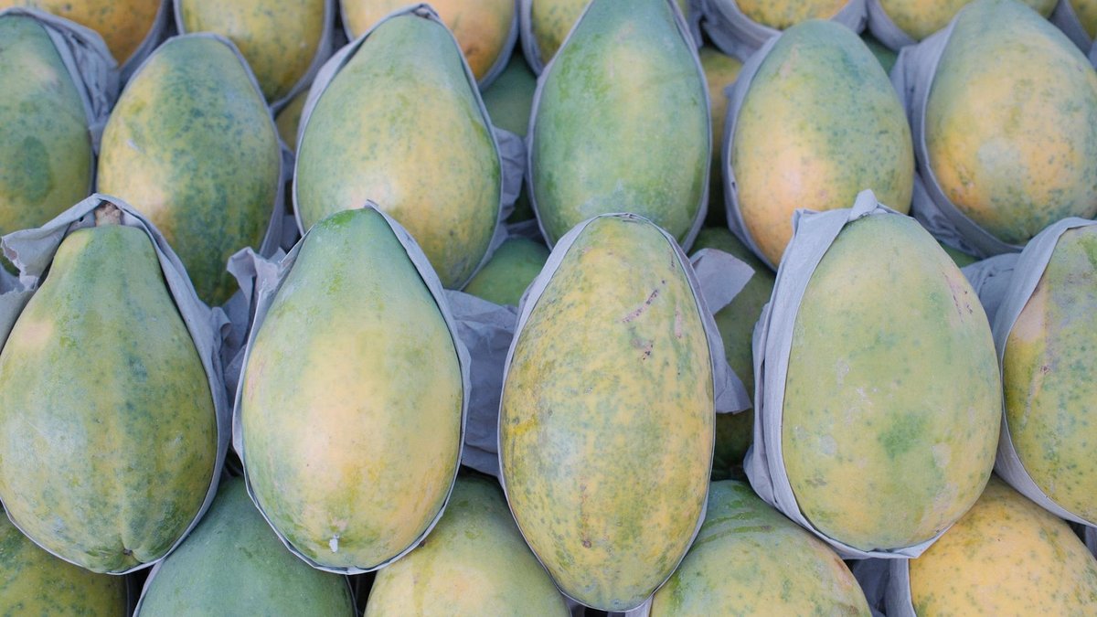 papaya fruit