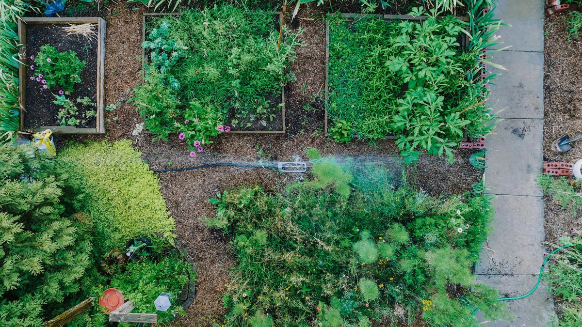 vegetable garden design