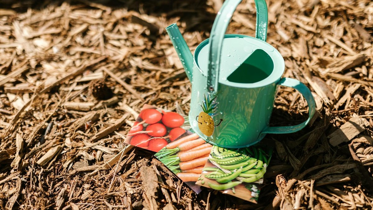 seed planting summer