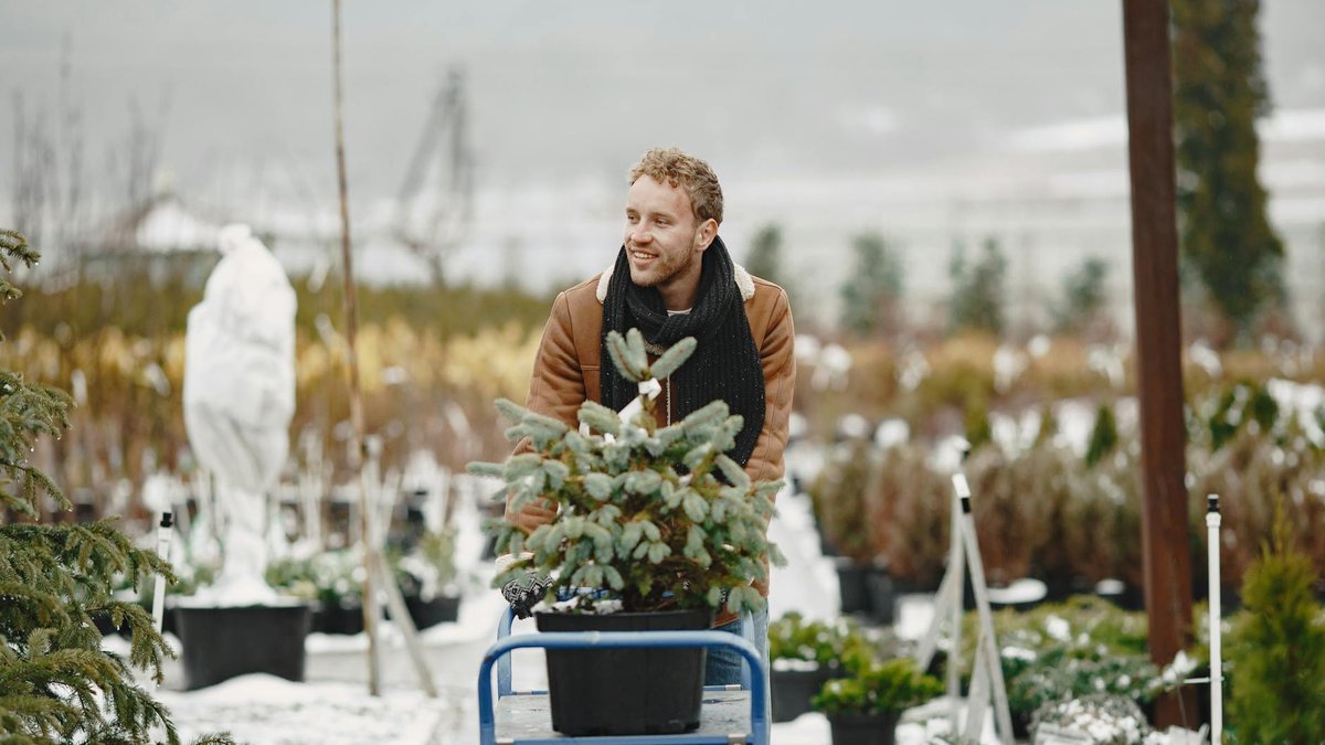 winter garden planting
