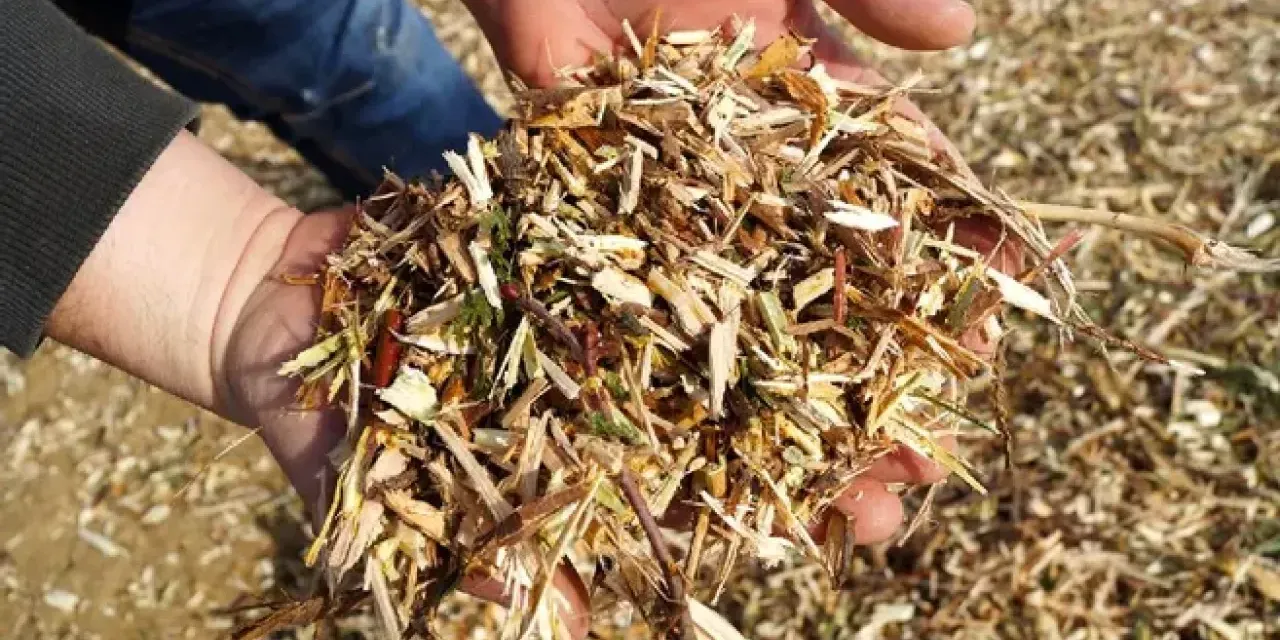 1. Le paillage : une barrière naturelle