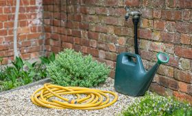 Quand arroser le jardin : les exceptions à connaître