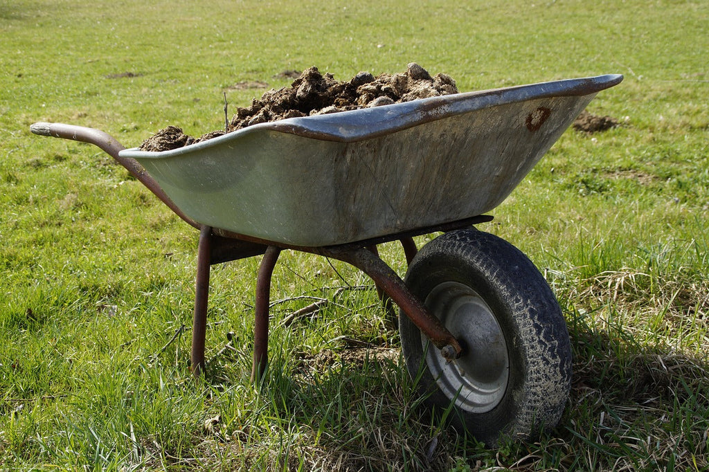 Comment utiliser le fumier de cheval au potager : techniques et saison
