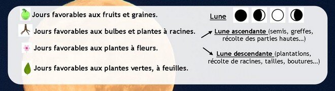 Qu'est-ce qu'un jardin lunaire ?