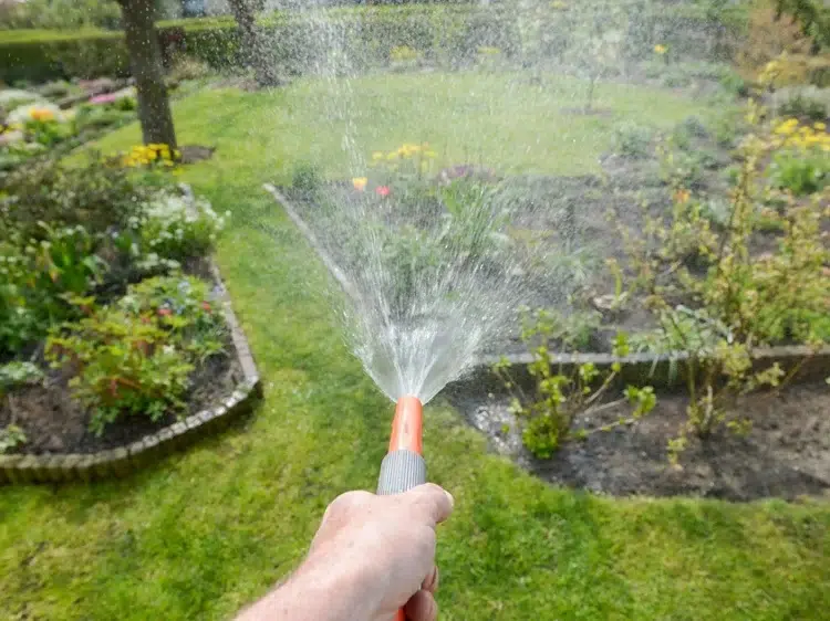 Comment le paillage réduit-il la consommation d'eau ?