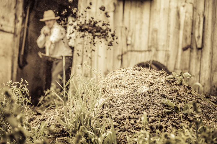 2. Le fumier bien décomposé : un classique du potager