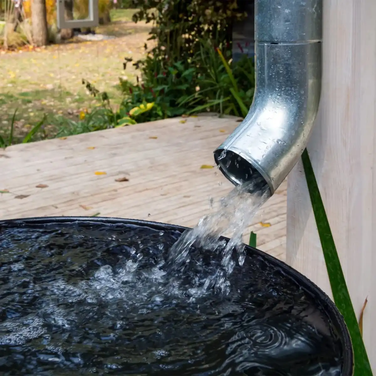 3. Récupérer l'eau de pluie