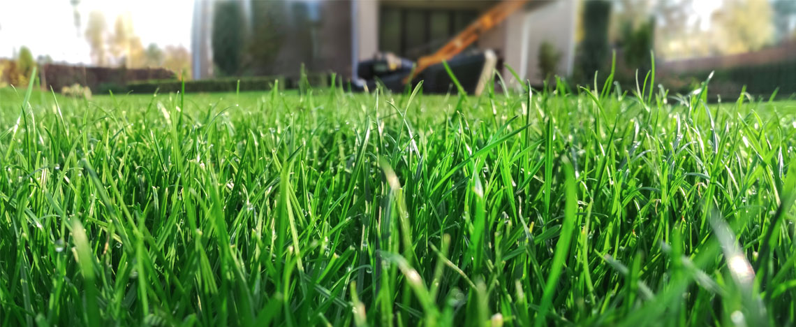 La Fertilisation : La Prudence est de Mise