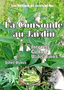 1. La consoude officinale : l'usine à nutriments