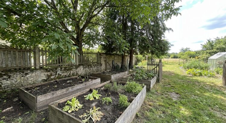 1. Le noyer : un voisin toxique pour les arbres fruitiers