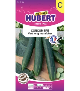 2. Haricots verts ‘Contender’ : productifs et résistants
