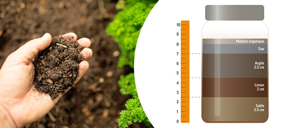Analyser votre sol : le test du jardinier français