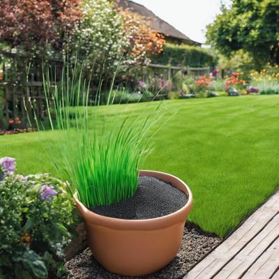 Arroser le soir : une alternative pour les climats chauds